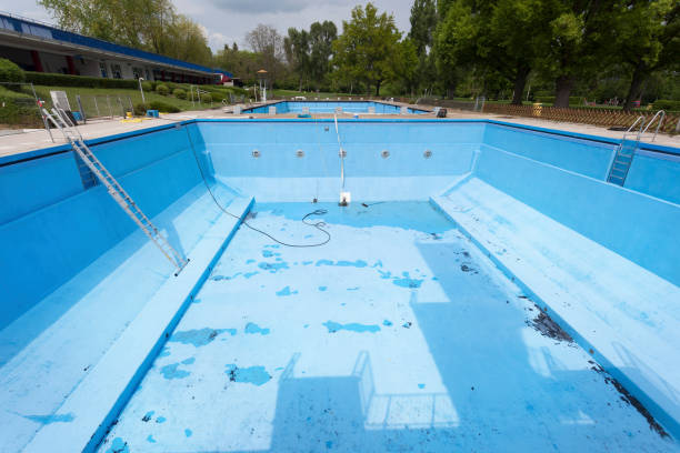 Best Water damage restoration specialists  in Polk City, FL