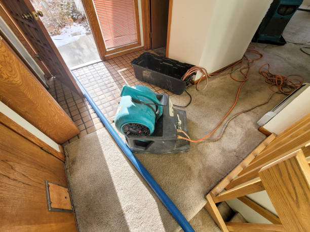 Best Flood damage cleanup  in Polk City, FL