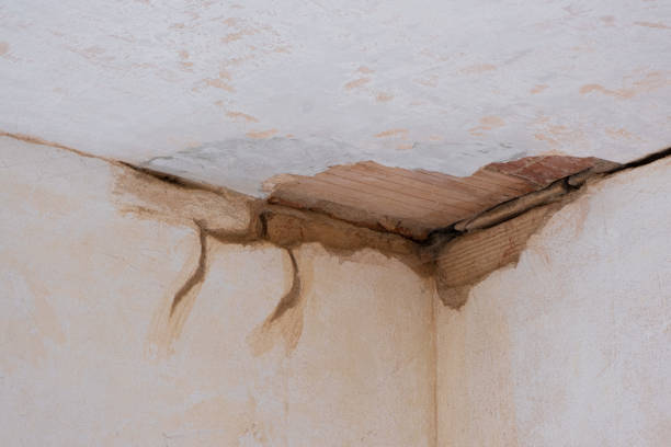 Best Water damage contractors near me  in Polk City, FL