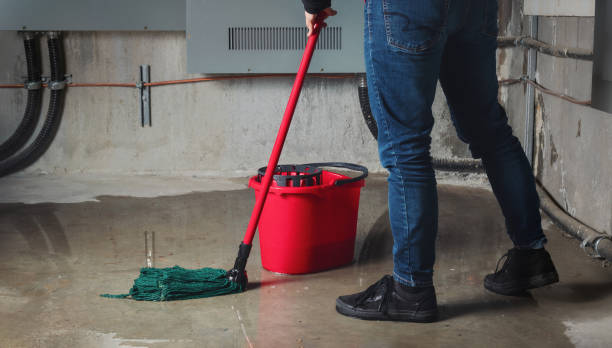 Best Water damage mitigation services  in Polk City, FL