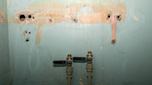 Best Local water damage restoration  in Polk City, FL